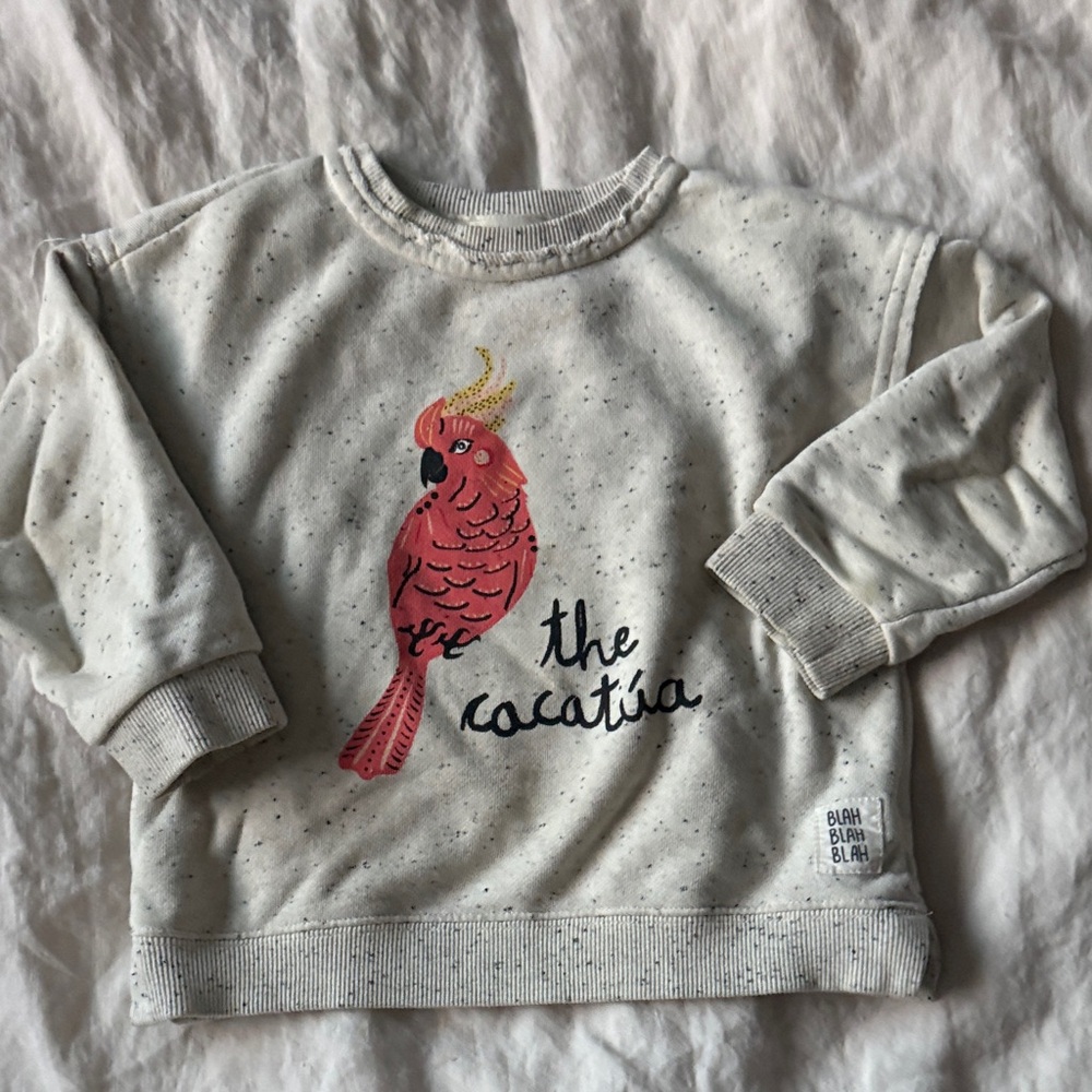 Art Class sweater